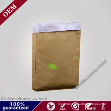 Craft PE ISO Certification Hot Sell China Kraft Paper Valve Bags
